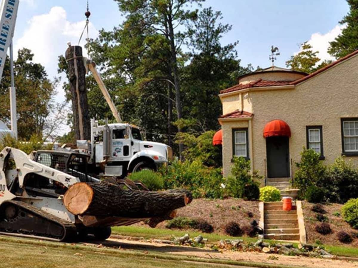 National-Tree-Debris Removal