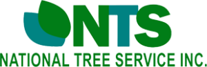 National Tree Service Logo
