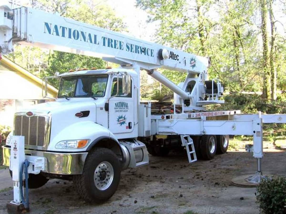National-Tree-Service